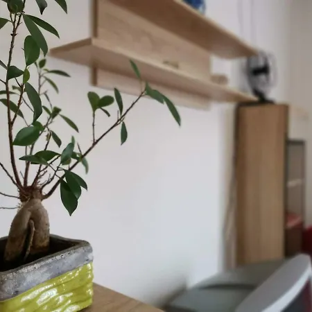 Apartamento Carnerolo***