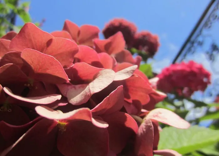 Carnerolo*** Appartamento *